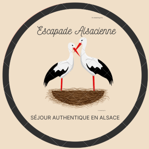 cigognes en Alsace