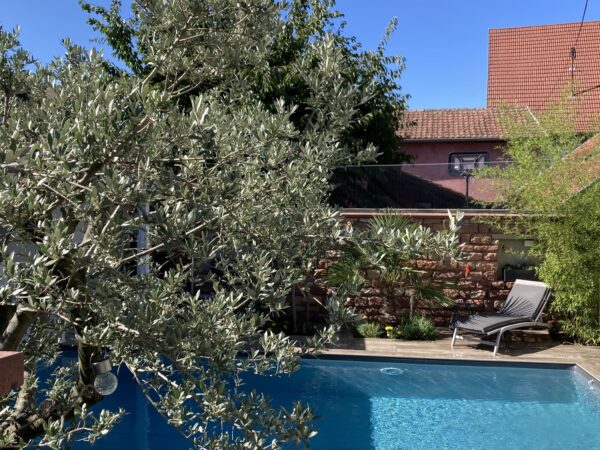 photo piscine