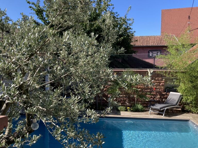 photo piscine
