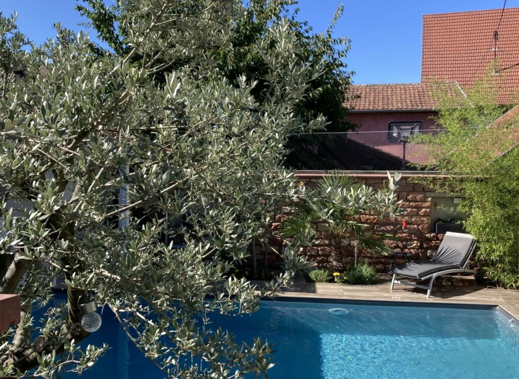 vue de la piscine